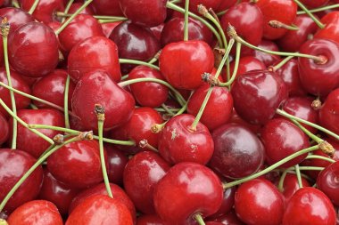 Böğürtlen, yaz mevsiminin en popüler meyvesi.. 