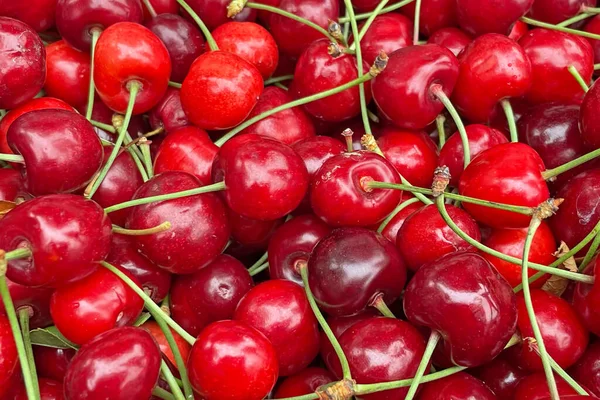 Kirschbeeren Die Beliebteste Frucht Der Sommersaison — Stockfoto