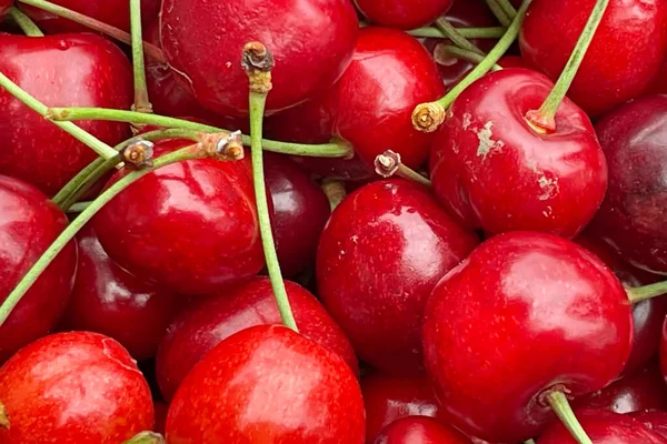 Bayas Cereza Fruta Más Popular Temporada Verano — Foto de Stock