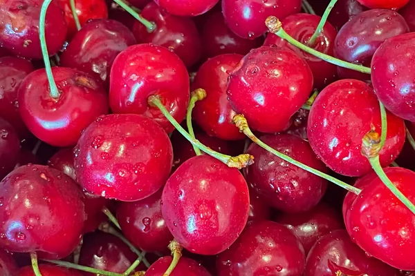 Kirschbeeren Die Beliebteste Frucht Der Sommersaison — Stockfoto