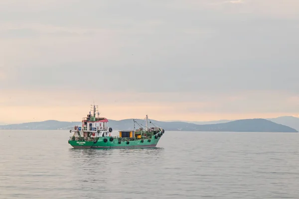 Мармурове Море Істанбул Туреччина Червень 152021 Cargo Кораблі Мармуровому Морі — стокове фото