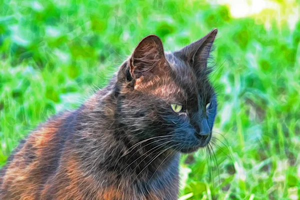 Close Cat Portrait Nature — Stock Photo, Image