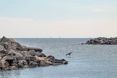 Sahildeki kayalıklar ve deniz manzarası doğada