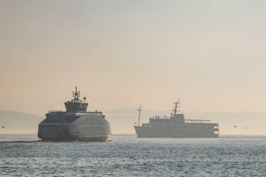 İstanbul, Türkiye-Haziran 10.2021.İstanbul, Avrupa ve Asya kıtaları arasındaki rüya şehir, tarihi, modern ve doğal güzellikleriyle. İstanbul 'dan sabah erken saatlerde şehir manzarası.