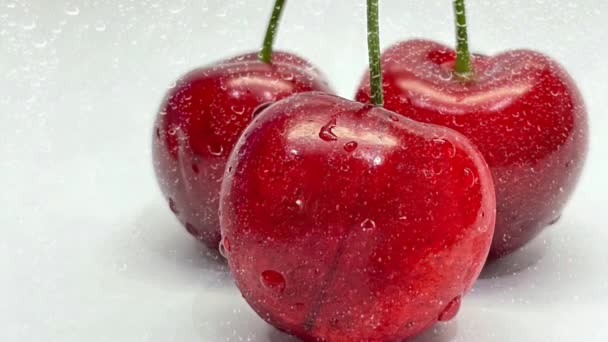 Cerezas Rojas Sobre Fondo Blanco — Vídeos de Stock