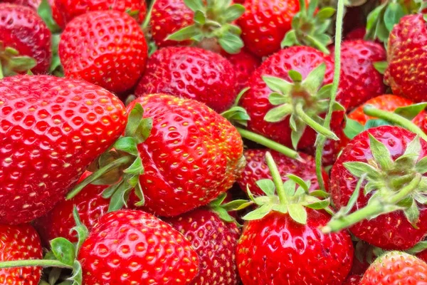 Sluiten Van Aardbeien Marktkraam — Stockvector