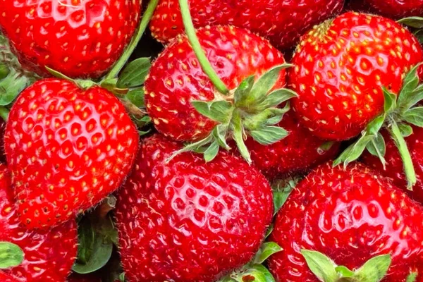 关闭街市档位上的草莓 — 图库矢量图片
