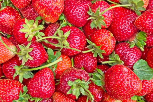 Cerrar Fresas Puesto Mercado — Archivo Imágenes Vectoriales