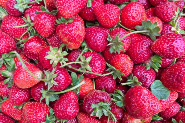 Fermer Les Fraises Sur Stand Marché — Image vectorielle