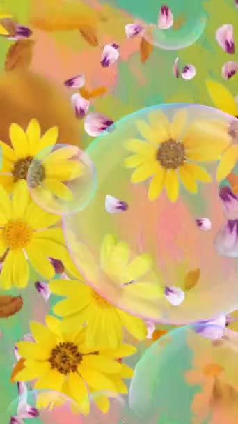 Bunten Hintergrund Mit Gänseblümchen Blumen — Stockvideo