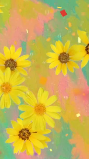 Colorful Background Daisy Flowers — Stock Video