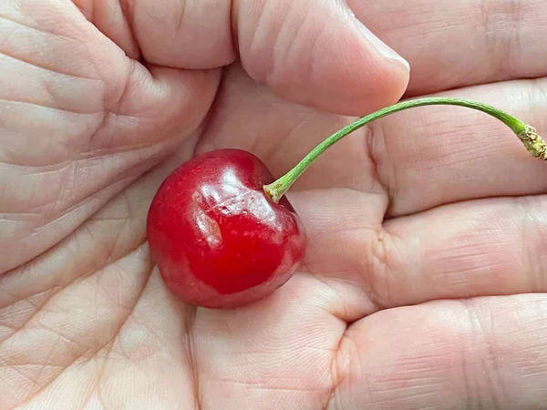 Sommerfrucht Kirschbeeren Aus Nächster Nähe — Stockfoto