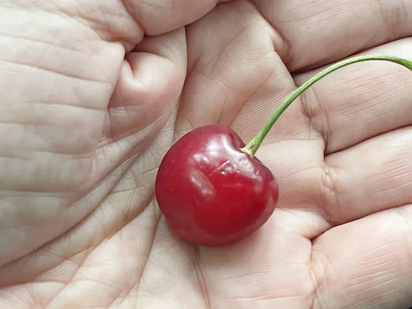 Sommerfrucht Kirschbeeren Aus Nächster Nähe — Stockfoto