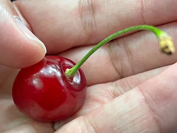 Close Summer Fruit Cherry Berries — Stock Photo, Image