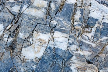 Kıyı kayalıkları ve kaya yüzeyleri doğada