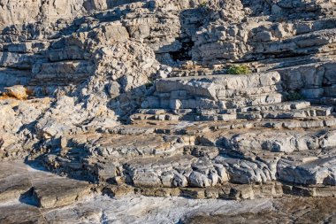 Kıyı kayalıkları ve kaya yüzeyleri doğada