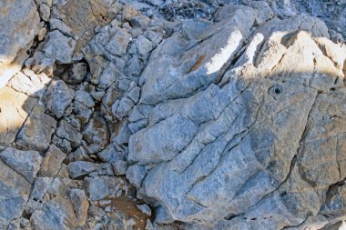 Kıyı kayalıkları ve kaya yüzeyleri doğada