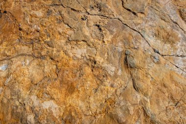 Kıyı kayalıkları ve kaya yüzeyleri doğada