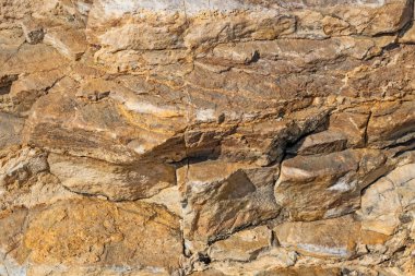 Kıyı kayalıkları ve kaya yüzeyleri doğada