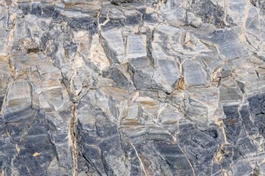 Kıyı kayalıkları ve kaya yüzeyleri doğada