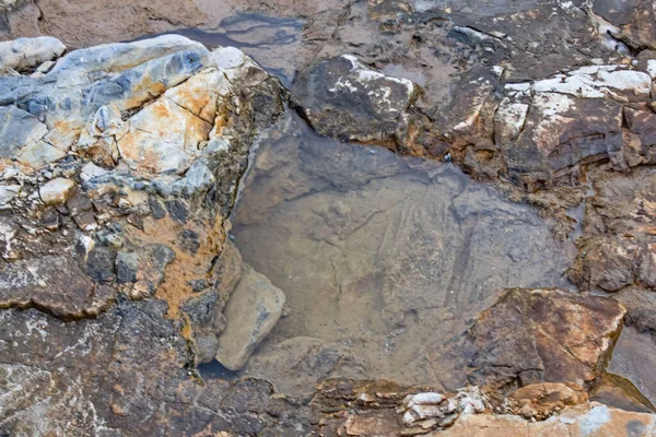 Coastal Cliffs Rock Surfaces Nature — Stock Photo, Image