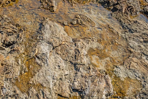 Falaises Côtières Surfaces Rocheuses Dans Nature — Photo