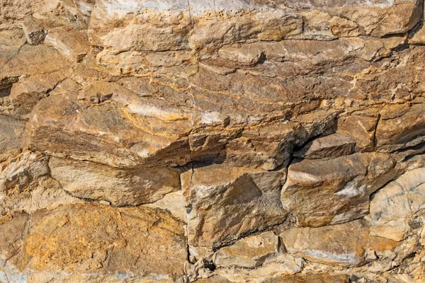 Kıyı kayalıkları ve kaya yüzeyleri doğada