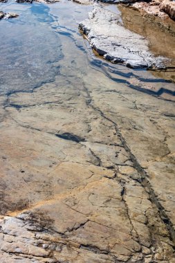 Kıyı kayalıkları ve kaya yüzeyleri doğada
