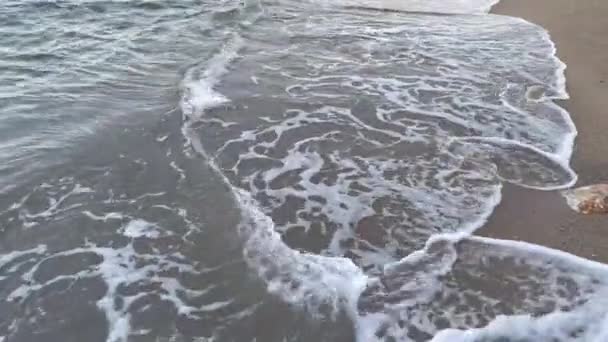 Παραθαλάσσια Παραλία Και Κύματα Κατά Την Καλοκαιρινή Περίοδο — Αρχείο Βίντεο