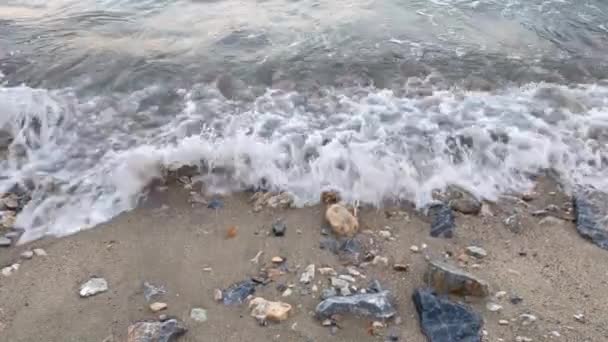 Узбережжя Пляж Хвилі Літній Сезон — стокове відео
