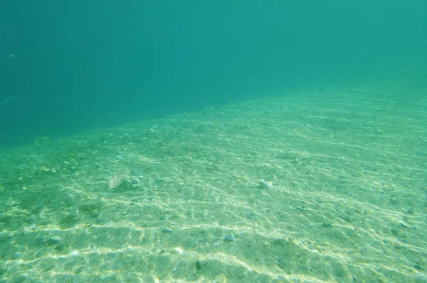 海の景色と水中の生活風景 — ストックベクタ