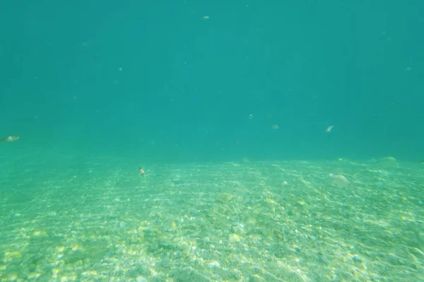 Meerblick Und Unterwasserwelt — Stockvektor