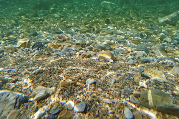 Вид Морський Пейзаж Підводне Життя — стоковий вектор