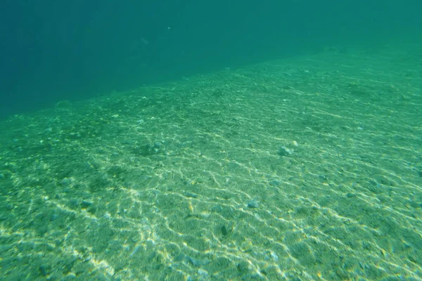 Zeegezicht Onderwaterleven Uitzicht — Stockvector