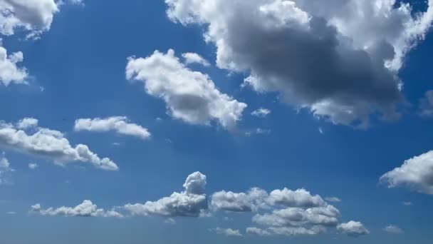 Tijdsverloop Blauwe Lucht Wolken — Stockvideo