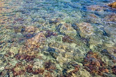 Yaz tatilini ve denizi seven turistler için Ege Denizi 'nin berrak ve mavi suları