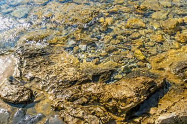 Yaz tatilini ve denizi seven turistler için Ege Denizi 'nin berrak ve mavi suları