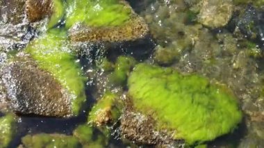 Yaz tatilini ve denizi seven turistler için Ege Denizi 'nin berrak ve mavi suları