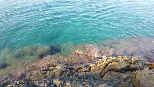 Klart Och Blått Vatten Egeiska Havet För Turister Som Älskar — Stockvideo