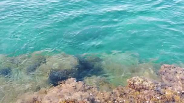 Águas Claras Azuis Mar Egeu Para Turistas Que Amam Férias — Vídeo de Stock