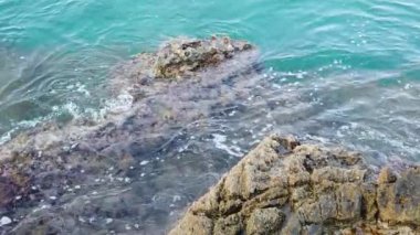 Yaz tatilini ve denizi seven turistler için Ege Denizi 'nin berrak ve mavi suları