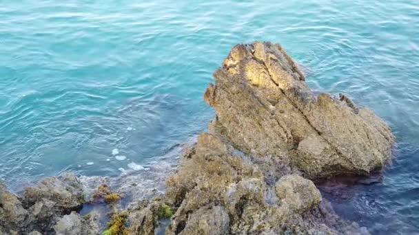Aguas Claras Azules Del Mar Egeo Para Los Turistas Que — Vídeos de Stock