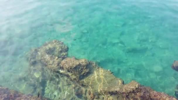 Clear Blue Waters Aegean Sea Tourists Who Love Vacation Sea — Stock Video