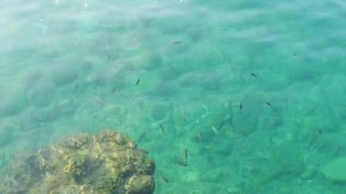 Yaz tatilini ve denizi seven turistler için Ege Denizi 'nin berrak ve mavi suları