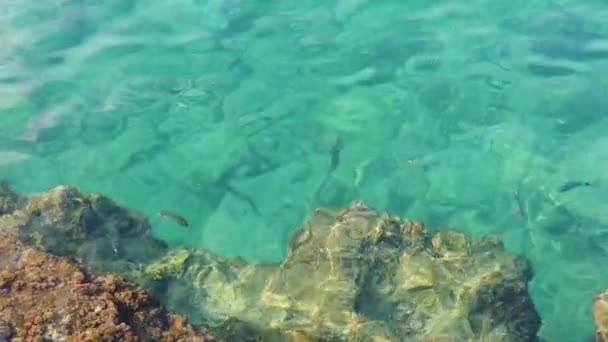 Прозрачные Голубые Воды Эгейского Моря Туристов Которые Любят Отдых Море — стоковое видео