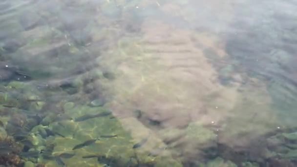 Heldere Blauwe Wateren Van Egeïsche Zee Voor Toeristen Die Houden — Stockvideo