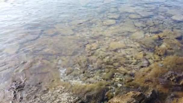 Klart Och Blått Vatten Egeiska Havet För Turister Som Älskar — Stockvideo