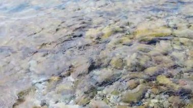 Yaz tatilini ve denizi seven turistler için Ege Denizi 'nin berrak ve mavi suları