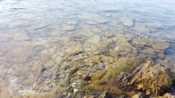 Klart Och Blått Vatten Egeiska Havet För Turister Som Älskar — Stockvideo