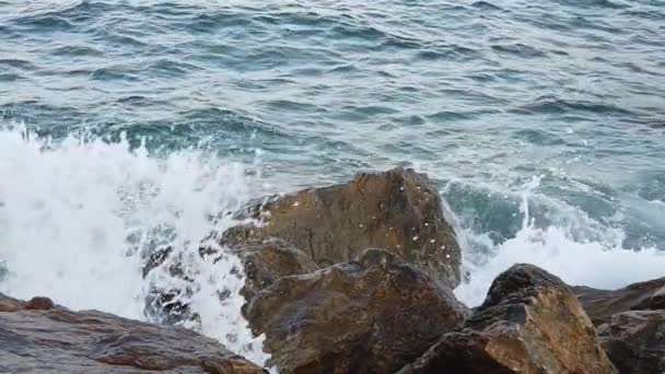 Aguas Claras Azules Del Mar Egeo Para Los Turistas Que — Vídeos de Stock